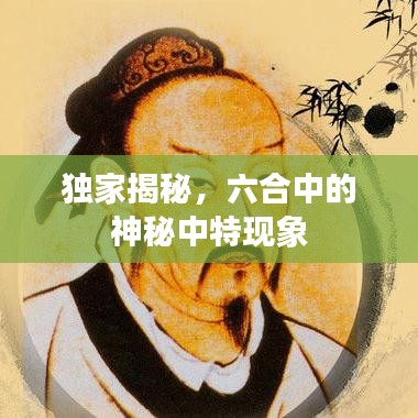 独家揭秘，六合中的神秘中特现象