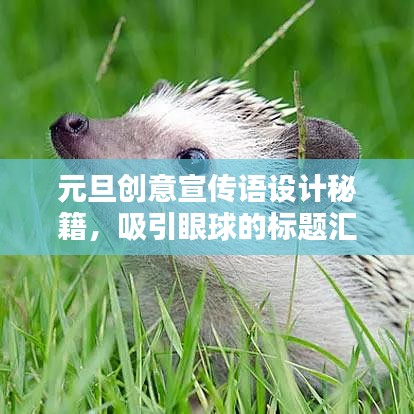 元旦创意宣传语设计秘籍，吸引眼球的标题汇总