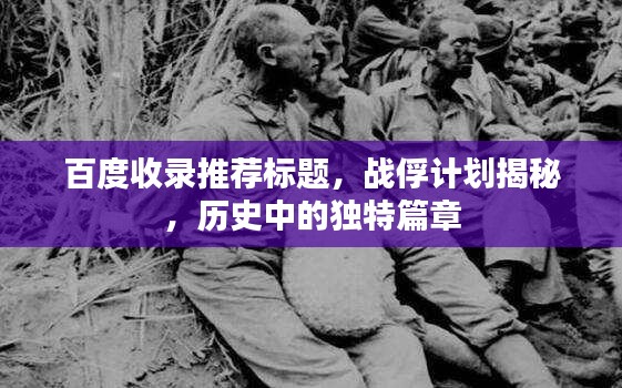 百度收录推荐标题，战俘计划揭秘，历史中的独特篇章