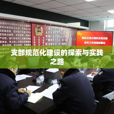 支部规范化建设的探索与实践之路