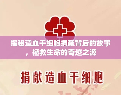 揭秘造血干细胞捐献背后的故事，拯救生命的奇迹之源
