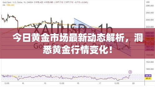 今日黄金市场最新动态解析，洞悉黄金行情变化！