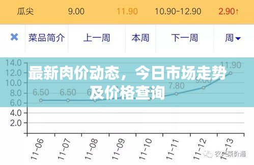 最新肉价动态，今日市场走势及价格查询