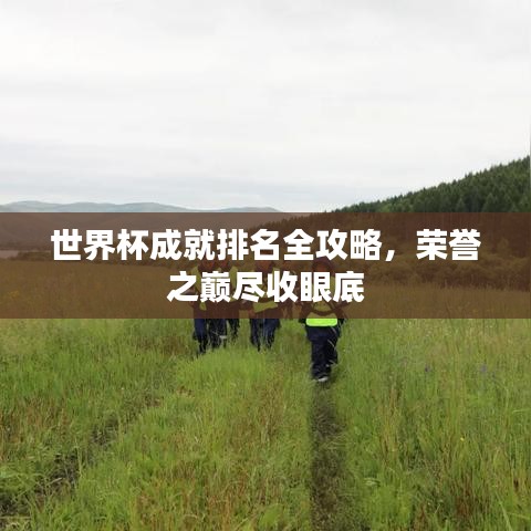 世界杯成就排名全攻略，荣誉之巅尽收眼底