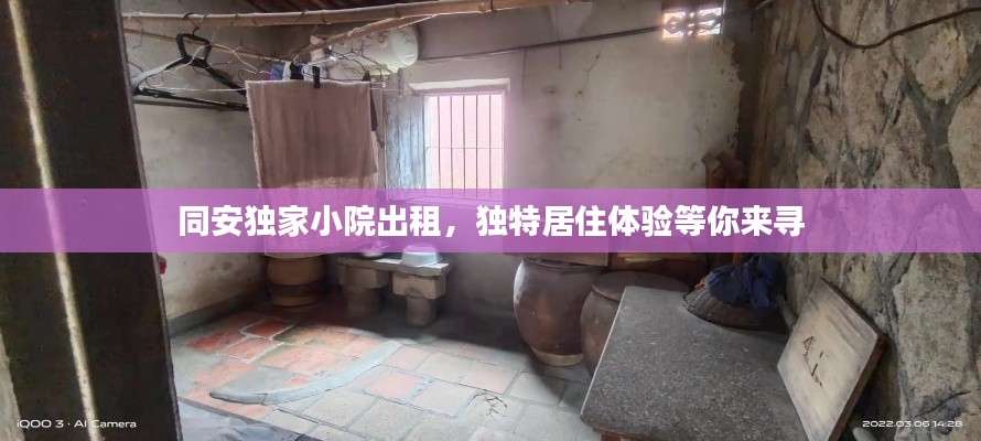 同安独家小院出租，独特居住体验等你来寻