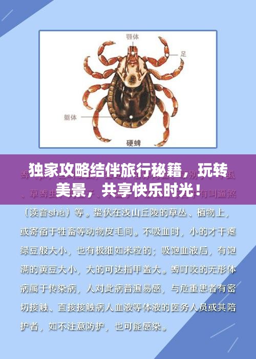独家攻略结伴旅行秘籍，玩转美景，共享快乐时光！