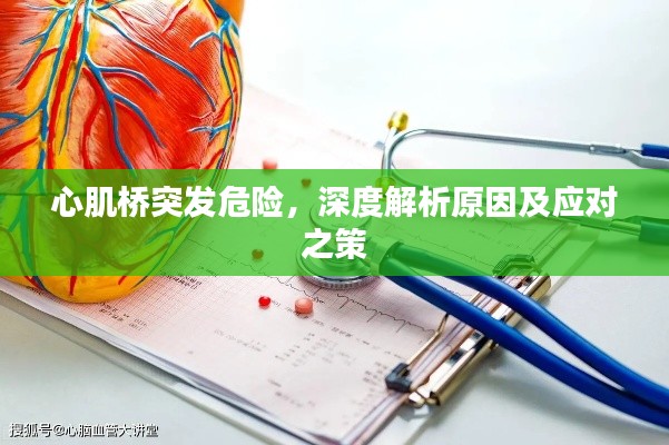 心肌桥突发危险，深度解析原因及应对之策