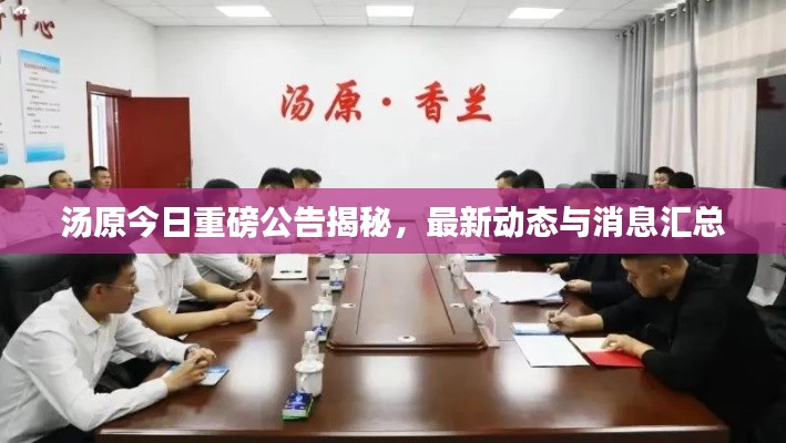 汤原今日重磅公告揭秘，最新动态与消息汇总