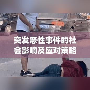 突发恶性事件的社会影响及应对策略探讨