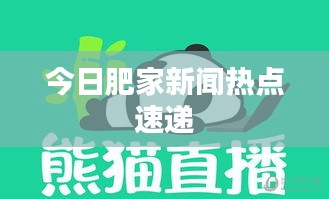 今日肥家新闻热点速递