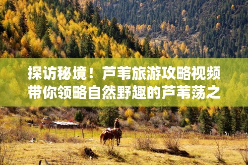 探访秘境！芦苇旅游攻略视频带你领略自然野趣的芦苇荡之旅