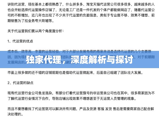 独家代理，深度解析与探讨