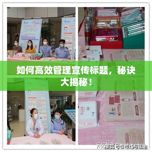 如何高效管理宣传标题，秘诀大揭秘！