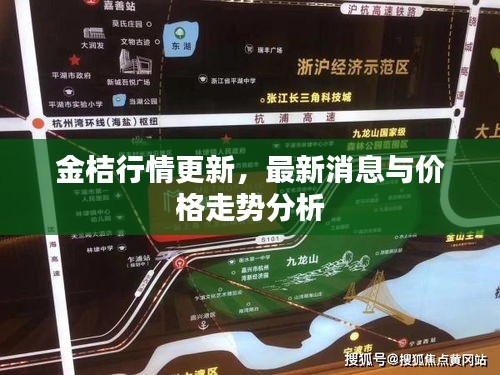 金桔行情更新，最新消息与价格走势分析