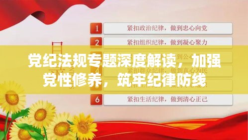 党纪法规专题深度解读，加强党性修养，筑牢纪律防线