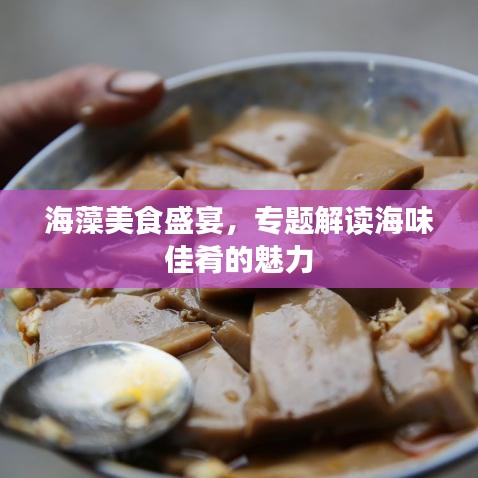 海藻美食盛宴，专题解读海味佳肴的魅力