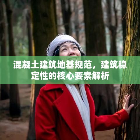 混凝土建筑地基规范，建筑稳定性的核心要素解析