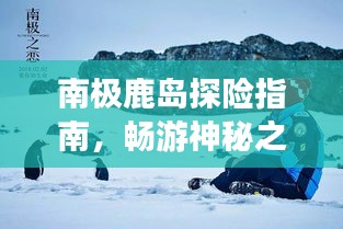 南极鹿岛探险指南，畅游神秘之旅