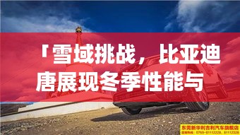 「雪域挑战，比亚迪唐展现冬季性能与独特魅力宣传视频」