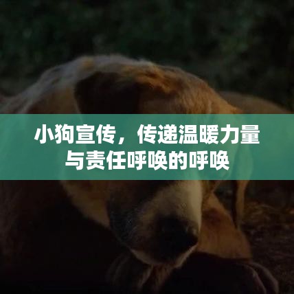 小狗宣传，传递温暖力量与责任呼唤的呼唤