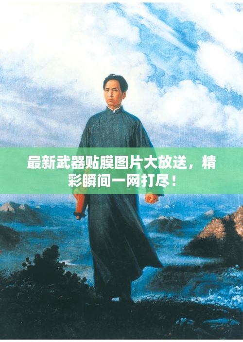 最新武器贴膜图片大放送，精彩瞬间一网打尽！