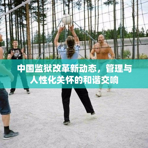中国监狱改革新动态，管理与人性化关怀的和谐交响