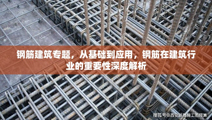 钢筋建筑专题，从基础到应用，钢筋在建筑行业的重要性深度解析