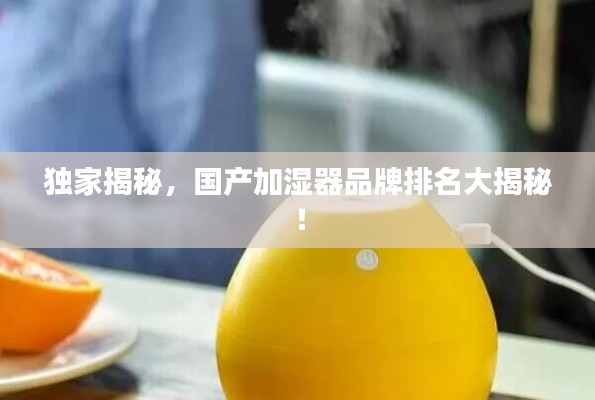 独家揭秘，国产加湿器品牌排名大揭秘！