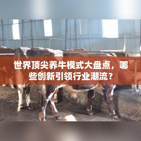 世界顶尖养牛模式大盘点，哪些创新引领行业潮流？