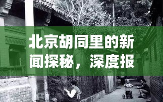 北京胡同里的新闻探秘，深度报道揭秘独家内幕