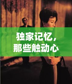 独家记忆，那些触动心弦的情感瞬间