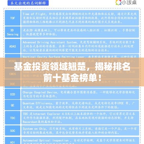 基金投资领域翘楚，揭秘排名前十基金榜单！