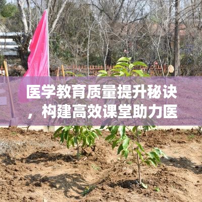 医学教育质量提升秘诀，构建高效课堂助力医学教育革新