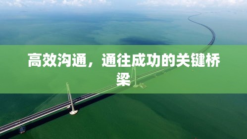 高效沟通，通往成功的关键桥梁