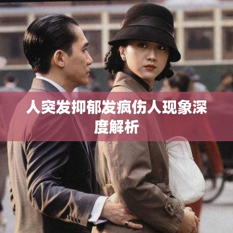 人突发抑郁发疯伤人现象深度解析