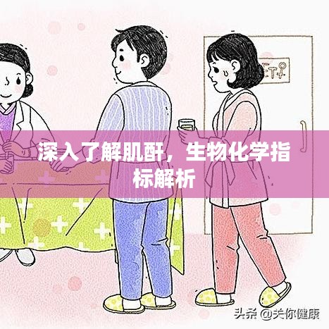 深入了解肌酐，生物化学指标解析