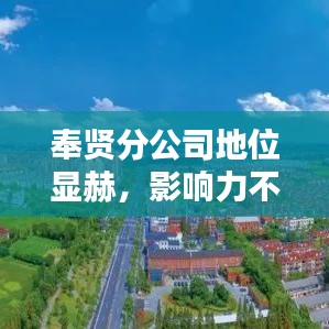 奉贤分公司地位显赫，影响力不容小觑！