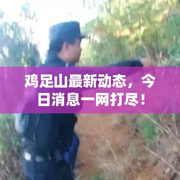鸡足山最新动态，今日消息一网打尽！