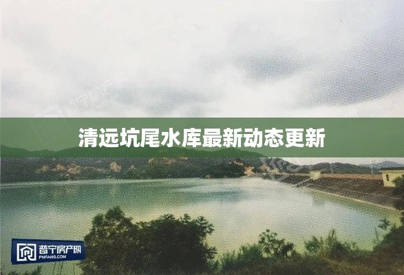 清远坑尾水库最新动态更新