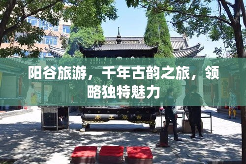 阳谷旅游，千年古韵之旅，领略独特魅力