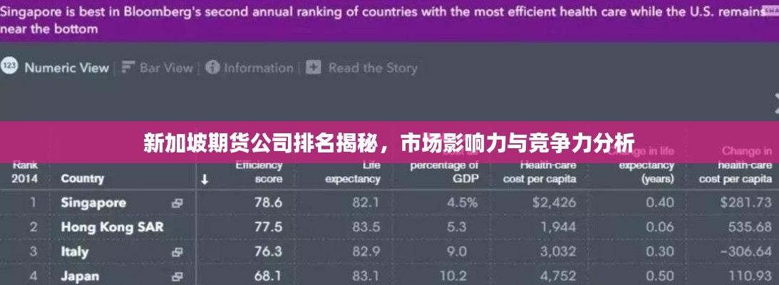新加坡期货公司排名揭秘，市场影响力与竞争力分析