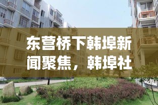 东营桥下韩埠新闻聚焦，韩埠社区发展新篇章