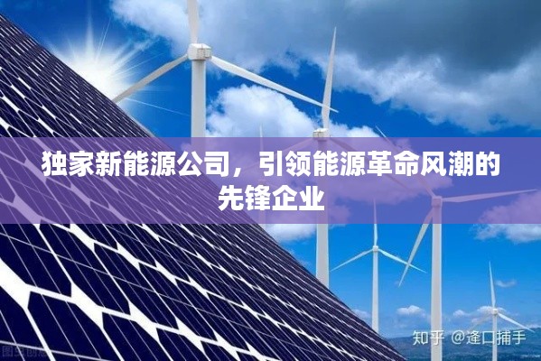 独家新能源公司，引领能源革命风潮的先锋企业