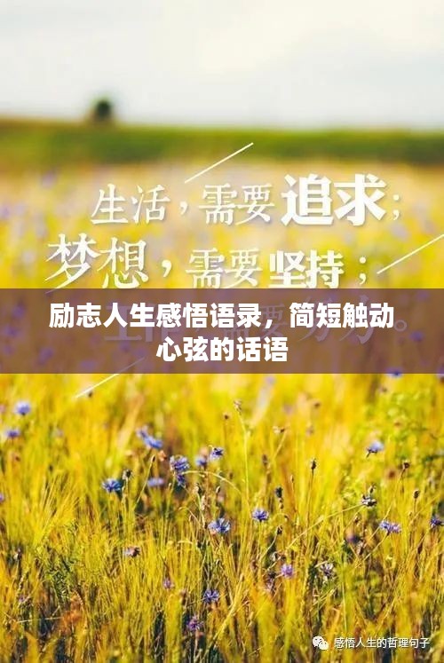 励志人生感悟语录，简短触动心弦的话语