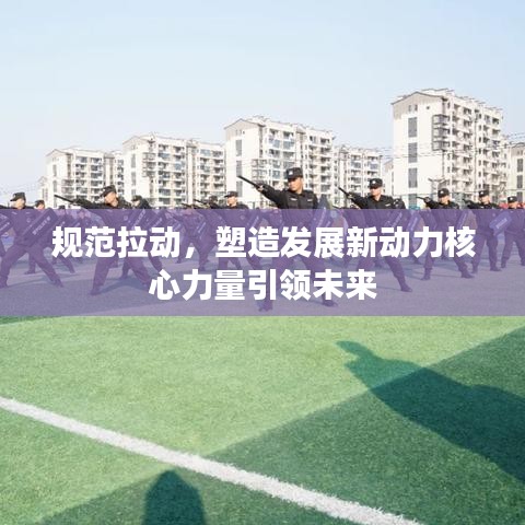 规范拉动，塑造发展新动力核心力量引领未来