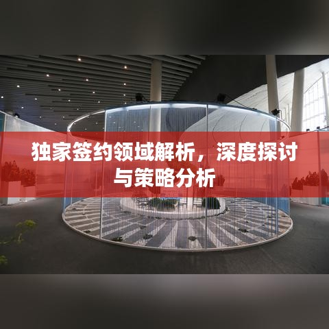 独家签约领域解析，深度探讨与策略分析