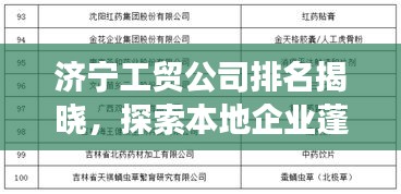 济宁工贸公司排名揭晓，探索本地企业蓬勃发展之路