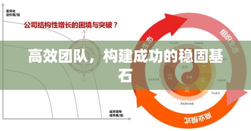 高效团队，构建成功的稳固基石