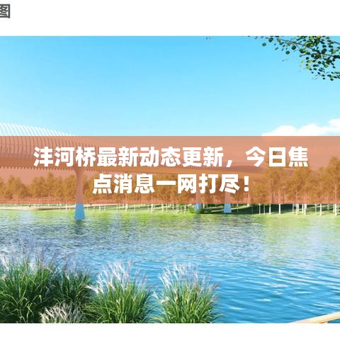沣河桥最新动态更新，今日焦点消息一网打尽！