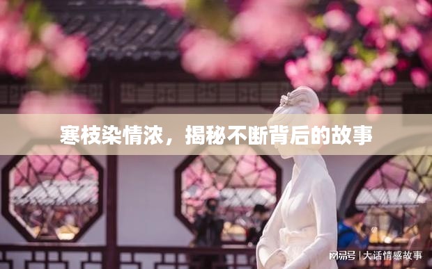 寒枝染情浓，揭秘不断背后的故事